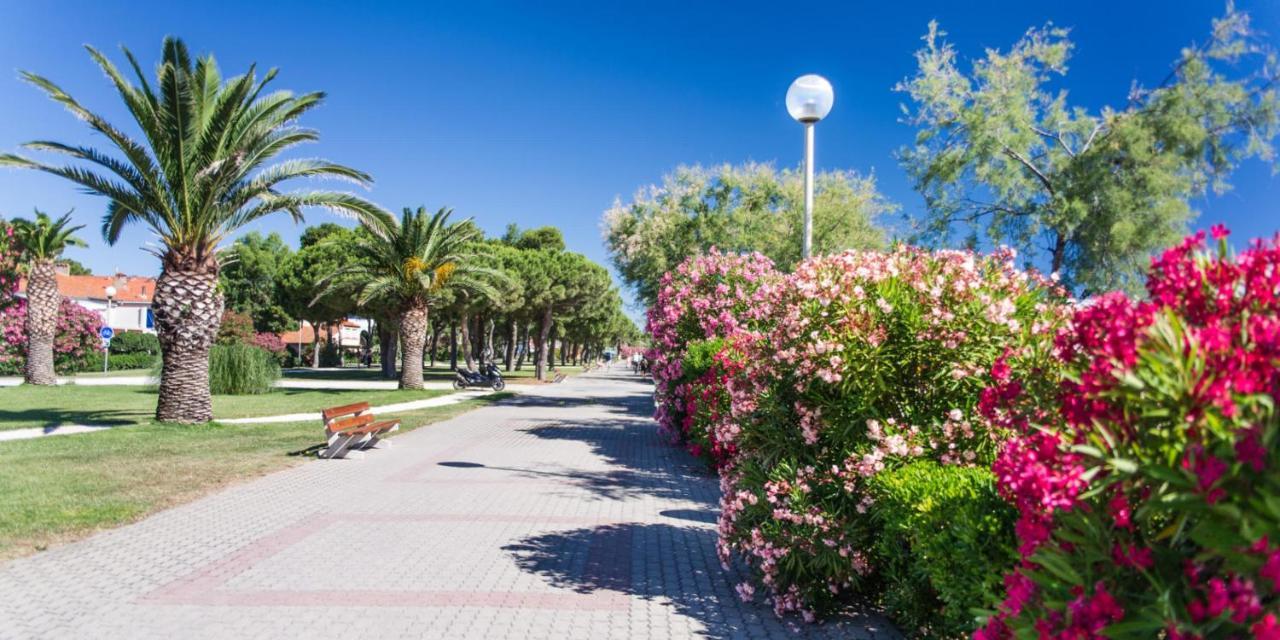 Apartamento Les Pieds Dans Le Sable Argelès-sur-Mer Exterior foto